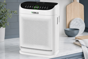 Smart Monitor vs Big Room: Two Ways to Purify Canadian Air
