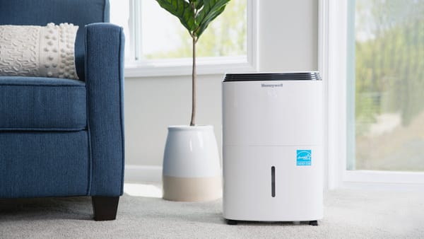 Best Dehumidifier: Control Moisture and Protect Your Home